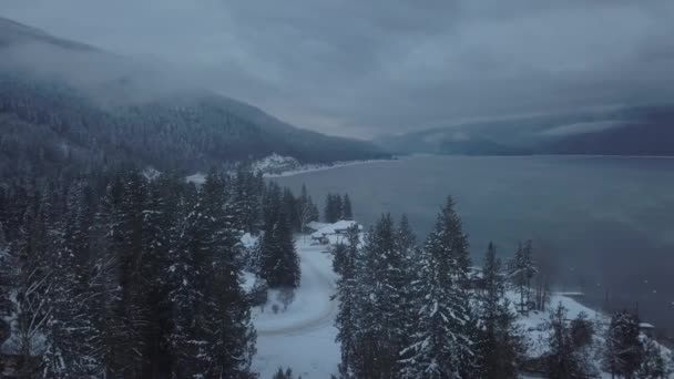 Veduta Panoramica Aerea Del Paesaggio Canadese Invernale Preso Balfour Vicino — Video Stock