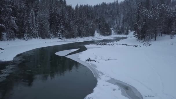 Havadan Görünümü Kanada Manzara Kış Döneminde Akan Güzel Bir Nehir — Stok video