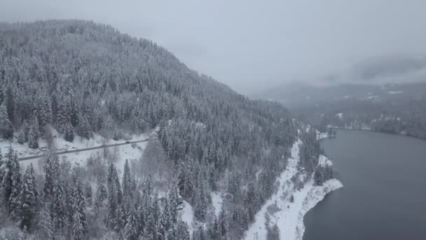 Letecký Pohled Provincii Kanadská Krajina Zimě Vyfocené Poblíž Nelson Britská — Stock video