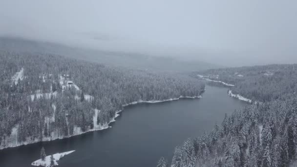 Vista Aérea Rio Kootenay Paisagem Canadense Durante Inverno Tomado Perto — Vídeo de Stock