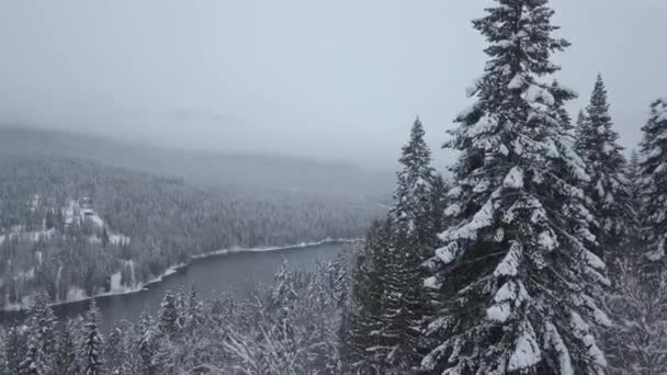 Vista Aérea Del Río Kootenay Paisaje Canadiense Durante Invierno Tomado — Vídeos de Stock