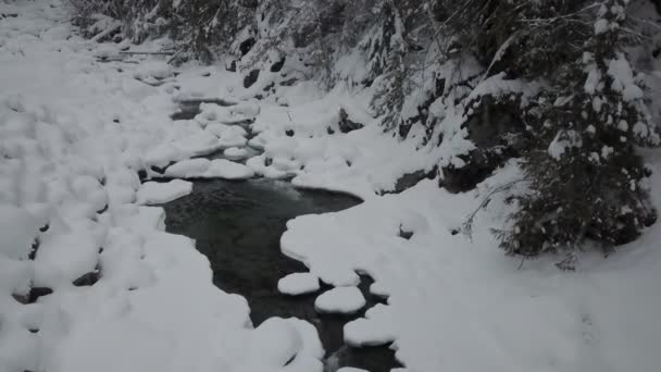 Antenowe Drone Nagranie Piękne Rzeki Spływające Creek Dolinie Okresie Zimowym — Wideo stockowe