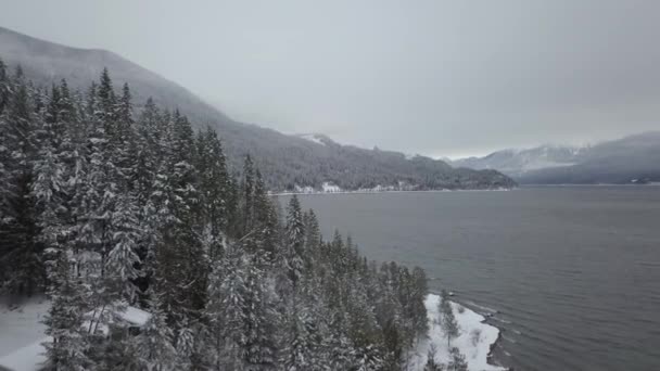 美しいカナダの冬の風景の空撮 Balfour ネルソン ブリティッシュ コロンビア カナダの近くで撮影 — ストック動画