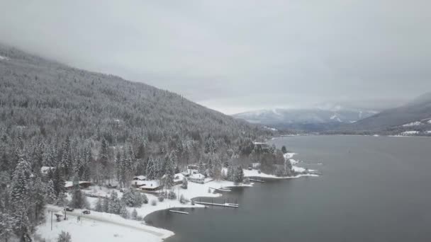 Vista Aérea Del Hermoso Paisaje Invierno Canadiense Tomado Balfour Cerca — Vídeo de stock