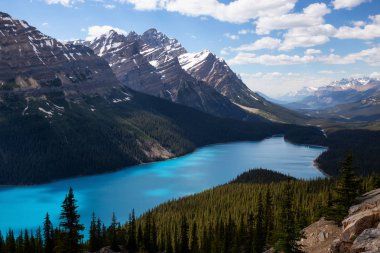 Peyto Gölü bir dağın tepesinden canlı bir güneşli gün boyunca izlendi. Icefields Parkway, Banff National Park, Alberta, Kanada içinde alınan.