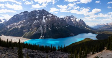 Peyto Gölü bir dağın tepesinden canlı bir güneşli gün boyunca izlendi. Icefields Parkway, Banff National Park, Alberta, Kanada içinde alınan.