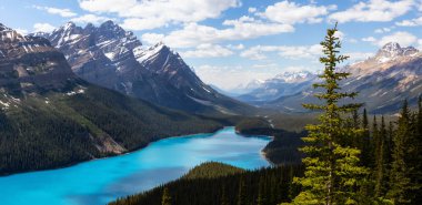 Peyto Gölü bir dağın tepesinden canlı bir güneşli gün boyunca izlendi. Icefields Parkway, Banff National Park, Alberta, Kanada içinde alınan.