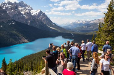 Peyto Lake, Banff National Park, Alberta, Canada - June 18, 2018: People are enjoying the beautiful Canadian Rockies during a vibrant sunny summer day. clipart