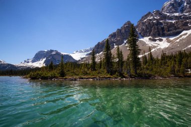 Buzul gölü bir canlı güneşli yaz gün boyunca. Yay Gölü, Banff National Park, Alberta, Kanada alınan.