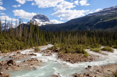 Takakkaw Yoho Milli parkta bir canlı güneşli yaz gün boyunca düşer. Bulunan British Columbia, Kanada.