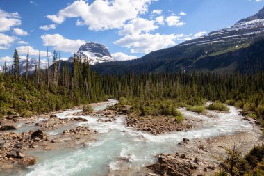 Takakkaw Yoho Milli parkta bir canlı güneşli yaz gün boyunca düşer. Bulunan British Columbia, Kanada.