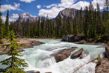 Güzel Kanada Rocky Dağları ile çevrili Kanyon akan nehir. Emerald Gölü, British Columbia, Kanada yakın doğal köprü götürüldü.