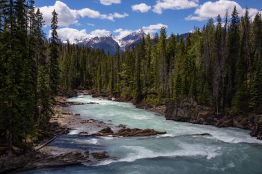 Güzel Kanada Rocky Dağları ile çevrili Kanyon akan nehir. Emerald Gölü, British Columbia, Kanada yakın doğal köprü götürüldü.