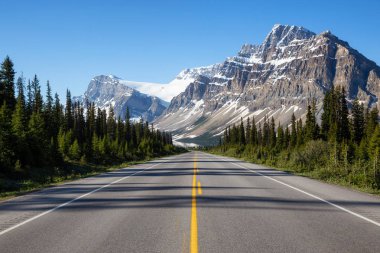 Kanada kayalık dağlarında bir canlı güneşli yaz gün boyunca doğal yolda. Icefields Parkway, Banff, Alberta, Kanada içinde alınan.