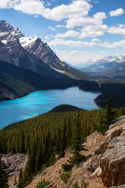 Peyto Lake Sedd Från Toppen Ett Berg Pulserande Solig Dag — Stockfoto