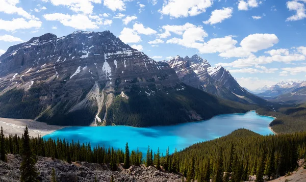 Peyto Lake Viewed Top Mountain Vibrant Sunny Day Taken Icefields — Stock Photo, Image