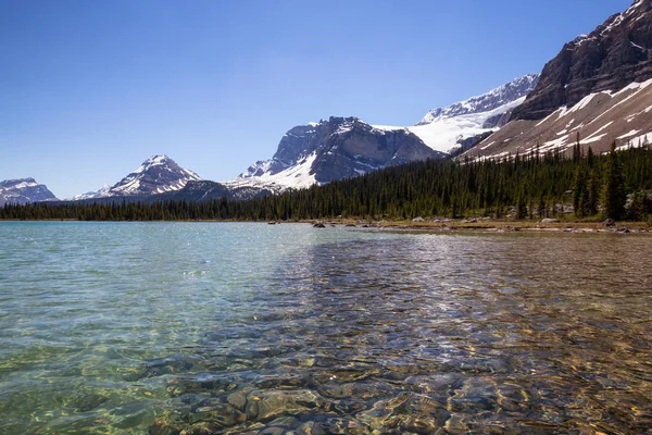 活気のある晴れた夏の日の間に氷河湖 ボウ湖 カナダ アルバータ州バンフ国立公園で撮影 — ストック写真