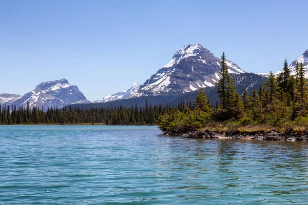 Glacier Lake Vibrant Sunny Summer Day Taken Bow Lake Banff — Stock Photo, Image