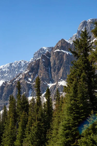 활기찬 화창한 캐나다 Rockies 아이스 앨버타 캐나다에서 — 스톡 사진