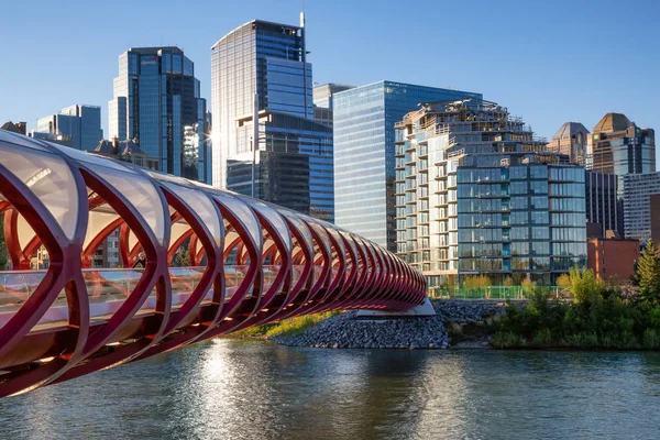 Calgary Alberta Kanada Czerwca 2018 Most Pokoju Przez Łuk Rzeki — Zdjęcie stockowe