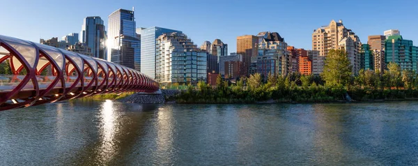 Peace Bridge Bow River Vibrant Summer Sunrise Taken Calgary Alberta — Stock Photo, Image