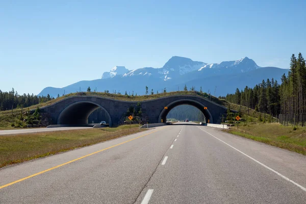 Animal crossing bridge across Trans-Canada Highway in Banff National Park, Alberta, Canada.