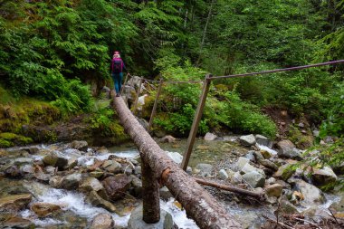 Ormanın içinde bir nehir dere boyunca tahta köprüde hiking. İzini Brunswick Dağı, Kuzey Vancouver, Bc, Kanada üst için alınan.