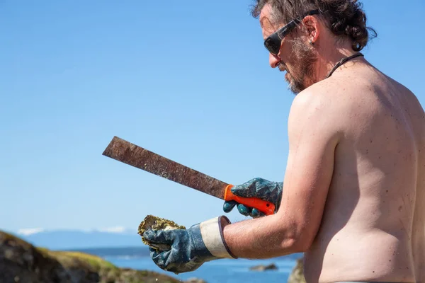 Powell River Sunshine Coast British Columbia Kanada Juli 2018 Oyster — Stockfoto