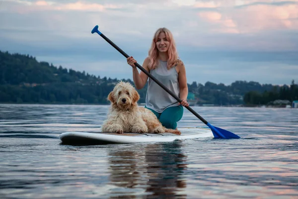 Chica Con Perro Una Tabla Remo Durante Una Vibrante Puesta — Foto de Stock