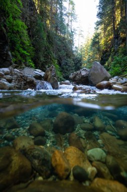 Üzerinde ve altında resim güzel bir kanyonun Lynn Valley, North Vancouver, British Columbia, Kanada.