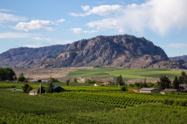 Çiftlik topraklarda bir bulutlu yaz gün boyunca görüntüleyin. Osoyoos, British Columbia, Kanada alınan.