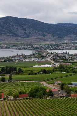 Çiftlik topraklarda bir bulutlu yaz gün boyunca görüntüleyin. Osoyoos, British Columbia, Kanada alınan.