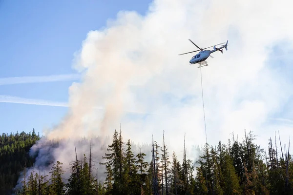 Helicopter fighting BC forest fires during a hot sunny summer day. Taken near Port Alice, Northern Vancouver Island, British Columbia, Canada.