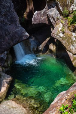 Güzel Kanada doğa manzara Monmouth kanyon. Squamish, Vancouver, British Columbia, Kanada kuzeyinde yer alan.