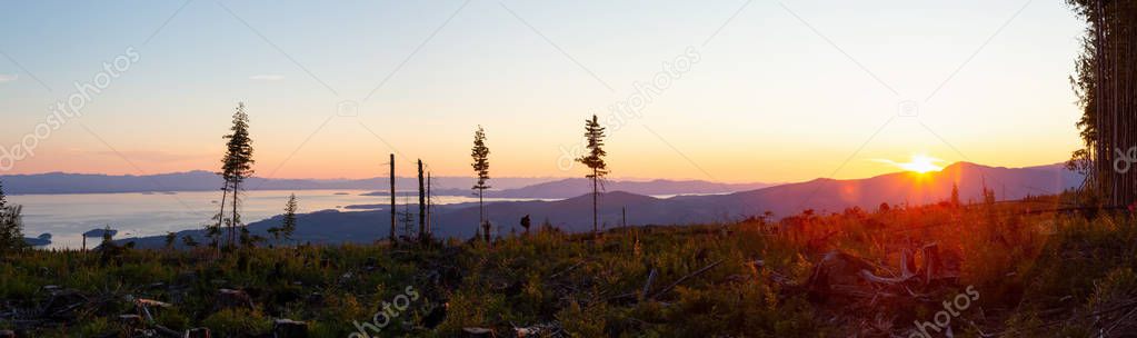 Panoramic Landscape view of the Cut Down Forest on top of the mountain during a vibrant summer sunset. Taken in Sechelt, Sunshine Coast, BC, Canada.
