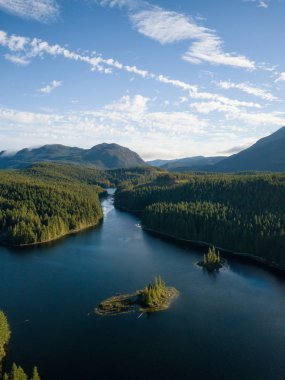 Bir canlı güneşli yaz gün boyunca güzel bir Kanada manzara havadan görünümüdür. Cedar Lake, Vancouver Adası, Bc, Kanada alınan.