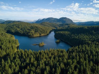 Hava panoramik bir canlı güneşli yaz gün boyunca güzel bir Kanada manzara. Cedar Lake, Vancouver Adası, Bc, Kanada alınan.
