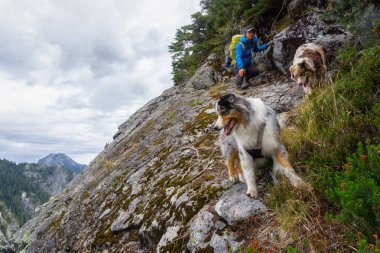 Köpekler bir uçurumun kenarında bir bulutlu yaz gün boyunca hiking kız. Vancouver, Bc, Kanada yakınındaki Howe ses Crest izi alınan.