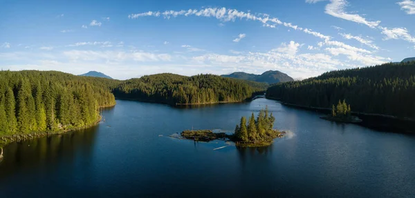 活気のある晴れた夏の日の間にカナダの美しい風景の空中パノラマ ビュー シーダー湖 バンクーバー島 ブリティッシュ コロンビア カナダでの撮影 — ストック写真