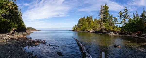 美丽的全景的岩石海滩在一个充满活力的阳光明媚的夏日 在加拿大公元前的温哥华岛北部的哈迪港拍摄 — 图库照片