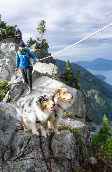 소녀는 강아지와 절벽의 가장자리에 하이킹 Howe 크레스트 트레일 밴쿠버 캐나다 — 스톡 사진