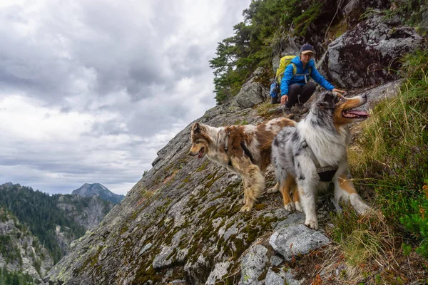 Pige Vandreture Kanten Klippe Med Hunde Løbet Overskyet Sommerdag Taget - Stock-foto