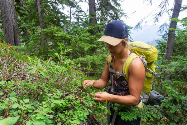 Menina Comendo Bagas Silvestres Floresta Tomado Howe Sound Crest Trail — Fotografia de Stock