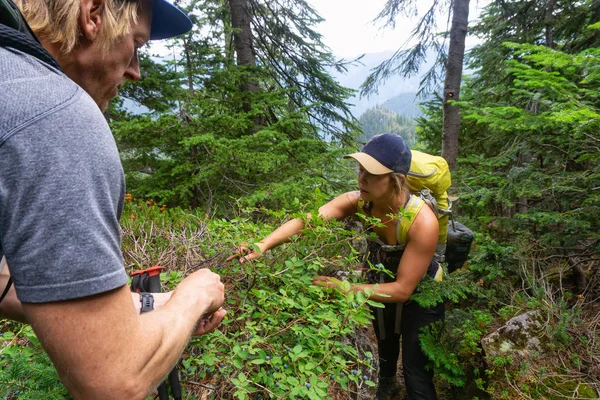 친구는 숲에서 열매를 먹고입니다 Howe 크레스트 트레일 밴쿠버 캐나다 근처에서 — 스톡 사진