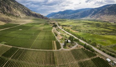 Tarım alanları bir bulutlu yaz gün boyunca hava panoramik manzaralı. Cawston, Osoyoos, Bc, Kanada yakınlarında alınan.