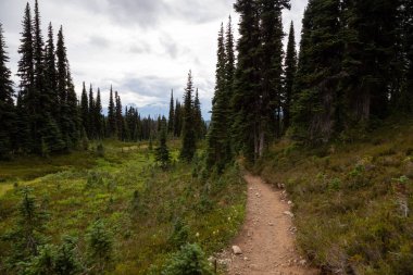 İz doğada canlı bulutlu yaz gün boyunca hiking. Garibaldi Provincial Park, Whistler ve Squamish, Kuzey Vancouver, Bc, Kanada yakınında yer almış.