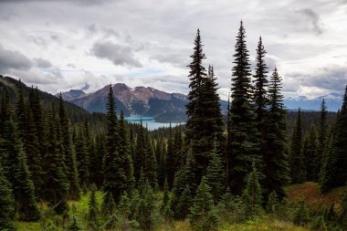 Güzel manzaralı bir canlı bulutlu yaz gün boyunca. Garibaldi Provincial Park, Whistler ve Squamish, Kuzey Vancouver, Bc, Kanada yakınında yer almış.