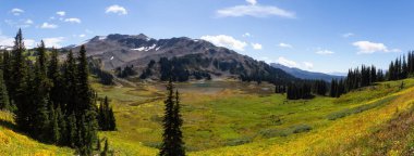 Güzel panoramik manzaralı bir canlı güneşli yaz gün boyunca. Garibaldi Provincial Park, Whistler ve Squamish, Kuzey Vancouver, Bc, Kanada yakınında yer almış.