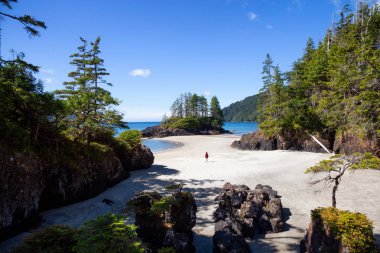 Bir güneşli yaz günü sırasında Pasifik Okyanusu kıyısında güzel manzara. San Josef Beach, Cape Scott, Vancouver Adası, Bc, Kanada içinde alınan.