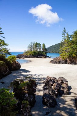 Pasifik Okyanusu kıyısında kumlu plaj güzel panoramik manzaralı. San Josef Bay, Cape Scott Provincial Park, Kuzey Vancouver Adası, Bc, Kanada içinde alınan.